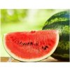 Melón vodný Crimson Sweet Citrullus lanatus Matsum et Nakai predaj semien 6 ks
