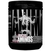 Universal Nutrition Juiced Aminos 358 g