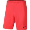 Pánske šortky Dry Park III NB KM BV6855 635 - Nike 2XL
