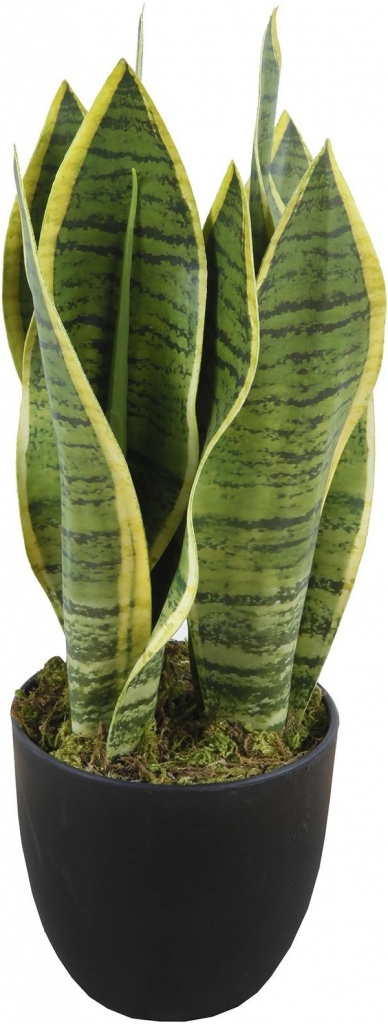 Lex Rastlina Sansevieria s kvetináčom umelá 33 cm zelená