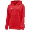 Hummel PROMO KIDS POLY HOODIE 208318-3062
