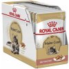 Royal Canin Maine Coon 12 x 85 g