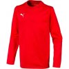 Puma liga training kids f01 655670-001 Mikina