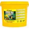 Tropical Spirulina Forte 36% 5 L/1 kg