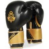 Boxerské rukavice DBX BUSHIDO B-2v10 10 oz