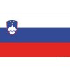 OSCULATI Vlajka Slovinsko 20 x 30 cm Variant: Vlajka Slovinska 20 x 30 cm Flag Slovenia 20 x 30 cm