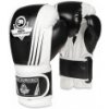 Boxerské rukavice DBX BUSHIDO B-2v3A 12 oz