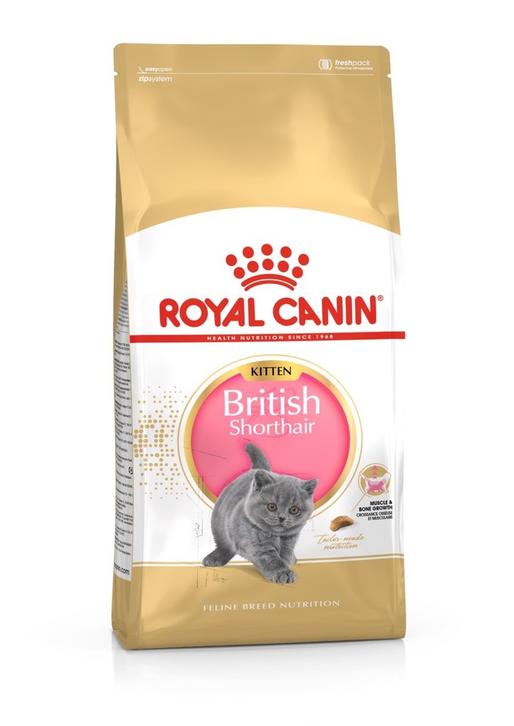 Royal Canin British Shorthair Kitten 10 kg