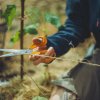 Fiskars 1075031