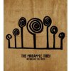 Pineapple Thief - Nothing But the Truth / Live / Blu-Ray Audio [Blu-Ray]
