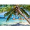 ALIPSON Puzzle Tropická pláž 1000 dílků
