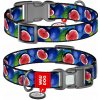 WAUDOG Obojok pre psa Nylon M 28-40/2 cm FIGA