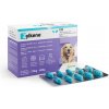 Zylkene 450mg pro vel.psy od 15 kg do 60 kg 100 kapslí