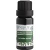 Nobilis Tilia BIO Mäta pieporná éterický olej Objem: 10 ml