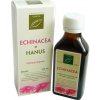 HANUS ECHINACEA /LIEHOVÝ EXTRAKT/ 100ML