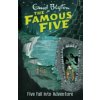Famous Five: Five Fall Into Adventure (Blyton Enid)