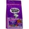 BARKING HEADS All Hounder Puppy Days Turkey 2kg