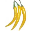 Cayenne golden (semená)