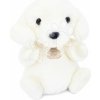Plyšový psík The Little Companions Histoire d’ Ours biely 20 cm od 0 mes