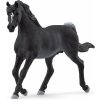 Schleich 13981 arabský žrebec