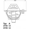 Termostat chladenia BorgWarner (Wahler) 3119.82D3