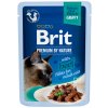 Brit Premium Cat Delicate Fillets in Gravy Beef 85 g