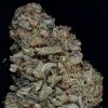 Big Head Seeds - Gorilla Zkittelz 5 ks - Semená neobsahujú THC