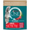 Purina ONE 800g Sterilcat s hovädzím a pšenicou