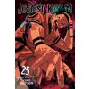 Viz Media Jujutsu Kaisen 25