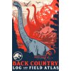 Plagát, Obraz - Jurassic World - Back Country, 61 × 91.5 cm