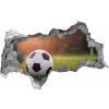 Fototapeta diera na stenu 3D Futbal 95x73 cm