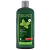 Logona šampón pre mastné vlasy Medovka 250 ml