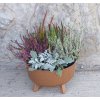 PROSPERPLAST Kvetináč GRACIA LOW ECO WOOD 28,5 cm naturo