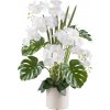 Orchidea biela aranžmán v kvetináči, 110cm