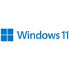 Windows 11 Home, Microsoft(R) WIN HOME 11 64-bit Czech 1 License USB Flash Drive HAJ-00105