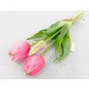 TULIPÁNY silikon 28 cm Farba: Ružová