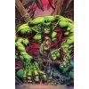 Marvel Incredible Hulk 4: City Of Idols