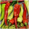 Paprika Ohnivec - Capsicum annuum - semená - 20 ks