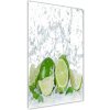 Vertikálny foto obraz sklenený Limetka 50x100 cm