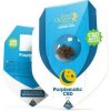 Royal Queen seeds Purplematic CBD neobsahují THC 3 ks
