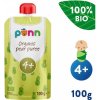 SALVEST Põnn BIO Hruška 100 % (100 g)