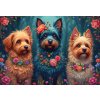 BlueBird - Puzzle Trio psov - 1000 dielov