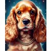 Norimpex diamantové maľovanie Kokeršpaniel so zlatým obojkom 30 x 40cm