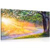 Dreamvido Obraz východ slnka v lese Varianta: 60x40