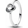 PANDORA prsten Čirý kruh věčnosti 56 192993C04-56