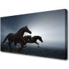 Obraz na plátne Kone zvieratá 100x50 cm
