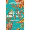 Kde jsi, když nejsi - Radka Třeštíková