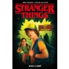 Stranger Things