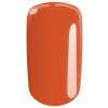Tasha UV/LED gél farebný Apricot Muss 5 g Black Line