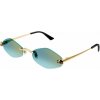 Cartier CT0433S 003